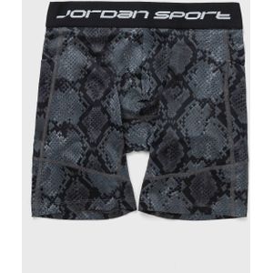 Sport Dri-FIT Shorts