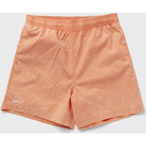Basic Acid Wash Swim Shorts