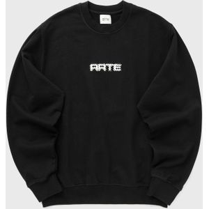 Arte Pixel Crewneck