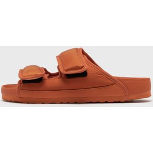 Arizona CosNy EXQ SYN