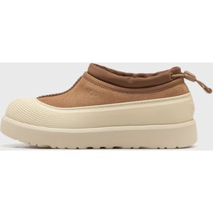 TASMAN WEATHER HYBRID