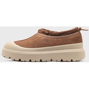 TASMAN WEATHER HYBRID