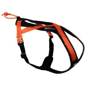 Non-Stop Harness Rush - Black/Orange - 6