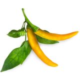 Click and Grow -- Smart Garden Refill 3-pack Yellow Chili Pepper