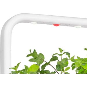 Click and Grow - Ersatz-Wachstumslampe für Smart Garden 9
