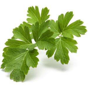 Click and Grow - Smart Garden Refill 3-pack Plain Parsley
