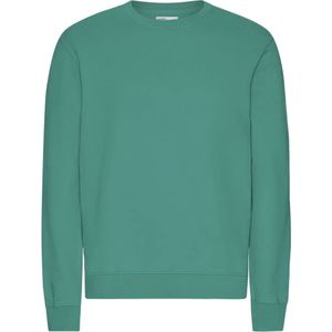 Trui Colorful Standard Classic Organic Pine Green