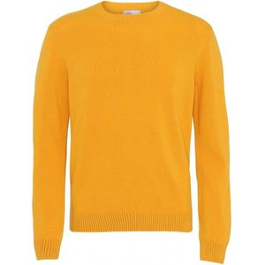 Wollen trui met ronde hals Colorful Standard Classic Merino burned yellow