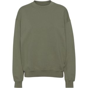 Sweatshirt ronde hals Colorful Standard Organic oversized dusty olive