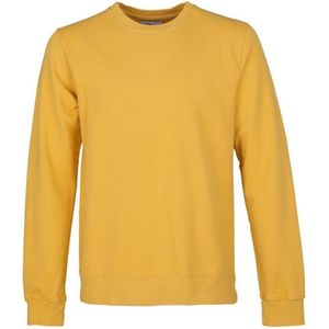 Colorful Standard - Classic Organic Crew - Sweater - Geel - Regular-Fit