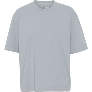 Oversized T-shirt Colorful Standard Organic