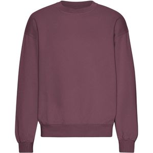 Oversized sweatshirt met ronde hals Colorful Standard Organic Dusty Plum