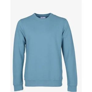 Hooded sweatshirt Colorful Standard Stone Blue