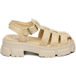 Damessandalen Steve Madden Amina