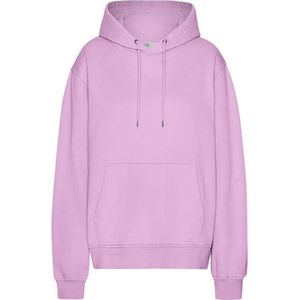 Hoodie Colorful Standard Classic Organic Cherry Blossom