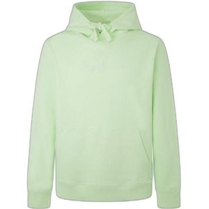 Hoodie Pepe Jeans Joe