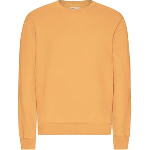 Trui Colorful Standard Classic Organic Sandstone Orange