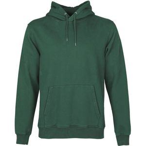 Hooded sweatshirt Colorful Standard Classic Organic emerald green