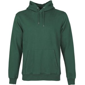 Hooded sweatshirt Colorful Standard Classic Organic emerald green