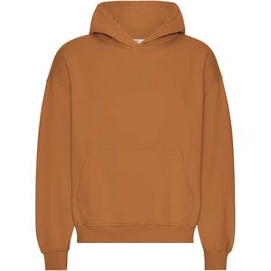 Oversized sweatshirt met capuchon Colorful Standard Organic Ginger Brown