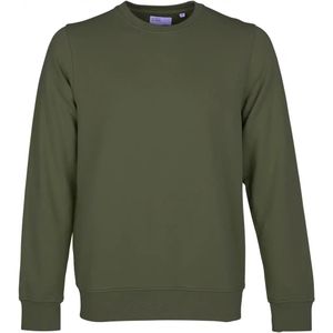 Sweatshirt ronde hals Colorful Standard Classic Organic seaweed green