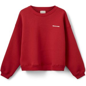 Dames sweatshirt Sofie Schnoor Elisw