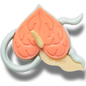 Jibbitz Crocs Meta Leaf