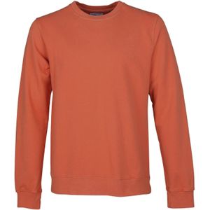 Sweatshirt ronde hals Colorful Standard Classic Organic dark amber