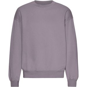 Oversized sweatshirt met ronde hals Colorful Standard Organic Purple Haze