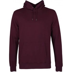 Hoodie - Groen - 100% Biologisch Katoen - Unisex