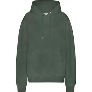 Hoodie Colorful Standard Classic Organic Midnight Forest