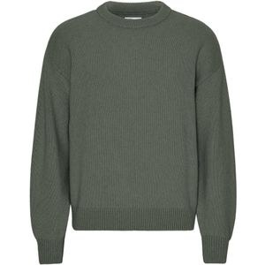Trui met oversized ronde hals Colorful Standard Dusty Olive