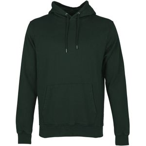 Hooded sweatshirt Colorful Standard Classic Organic hunter green