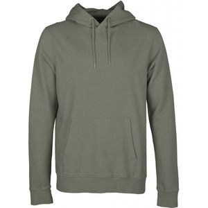 Hooded sweatshirt Colorful Standard Classic Organic dusty olive