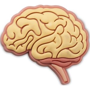 Jibbitz Crocs Anatomical Brain