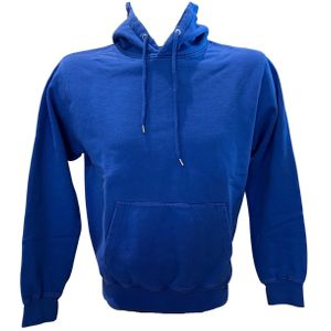 Hoodie Colorful Standard Classic Organic