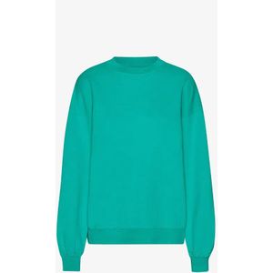 Oversized sweatshirt Colorful Standard Tropical Sea