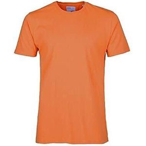 T-shirt Colorful Standard classic organic