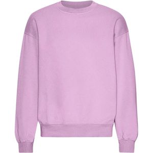 Oversized sweatshirt met ronde hals Colorful Standard Organic Cherry Blossom