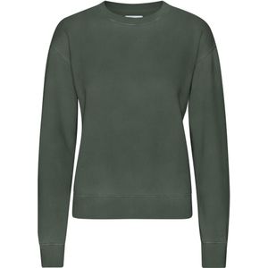 Dames sweatshirt met ronde hals Colorful Standard Classic Organic Midnight Forest