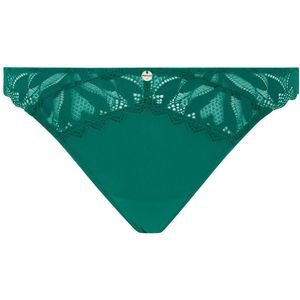 Dames string Morgan Claudia