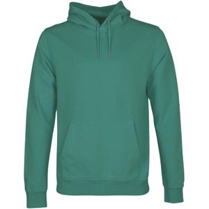 Hooded sweatshirt Colorful Standard Classic Organic Pine Green