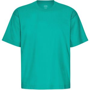 Oversized T-shirt Colorful Standard Organic