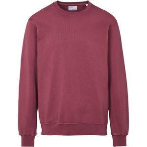 Trui Colorful Standard Classic Organic