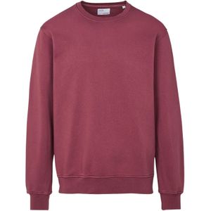 Trui Colorful Standard Classic Organic