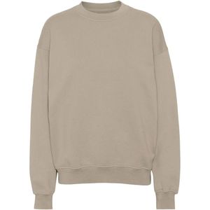 Sweatshirt ronde hals Colorful Standard Organic oversized oyster grey