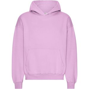 Oversized sweatshirt met capuchon Colorful Standard Organic Cherry Blossom