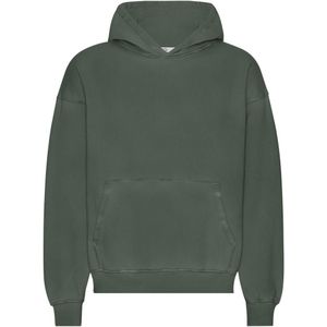 Oversized sweatshirt met capuchon Colorful Standard Organic Midnight Forest