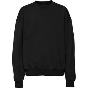 Sweatshirt ronde hals Colorful Standard Organic oversized deep black