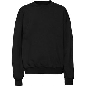 Sweatshirt ronde hals Colorful Standard Organic oversized deep black